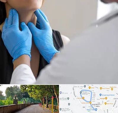 دکتر سرطان گلو در بلوار گیلان رشت 