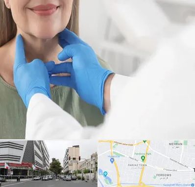 جراح سرطان گلو در بلوار فردوس 