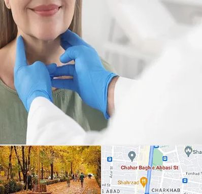 جراح سرطان گلو در چهارباغ اصفهان 