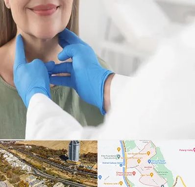 جراح سرطان گلو در خیابان نیایش شیراز 