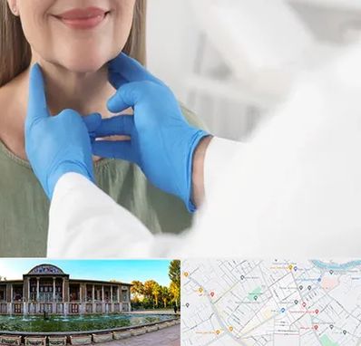 جراح سرطان گلو در عفیف آباد شیراز 