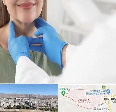 جراح سرطان گلو در شهرک گلستان شیراز 