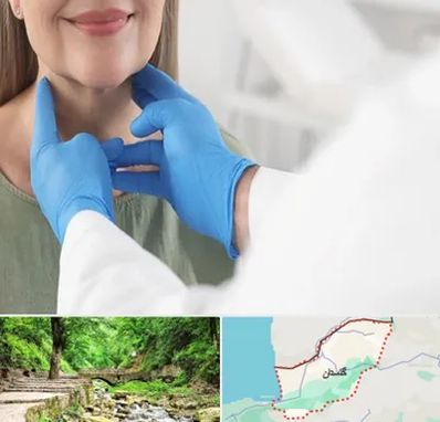 جراح سرطان گلو در گلستان