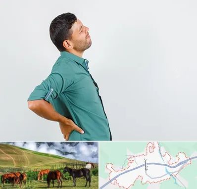 فوق تخصص عصب سیاتیک در تالش