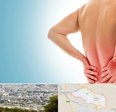 دکتر فلوشیپ دیسک کمر در یاسوج