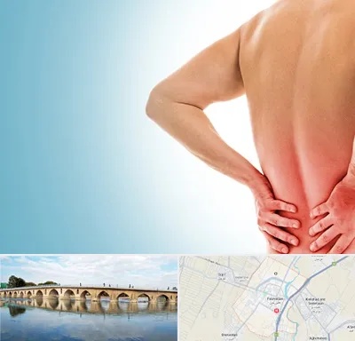 دکتر فلوشیپ دیسک کمر در فلاورجان