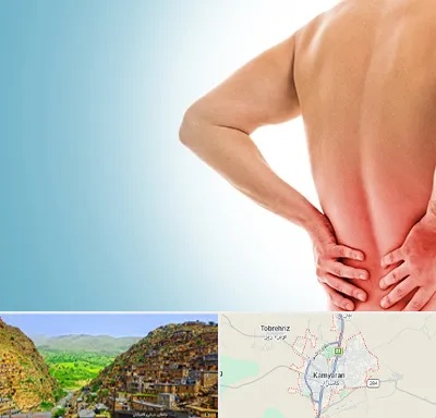 دکتر فلوشیپ دیسک کمر در کامیاران