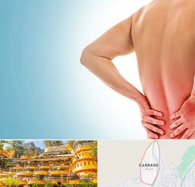 دکتر فلوشیپ دیسک کمر در دربند