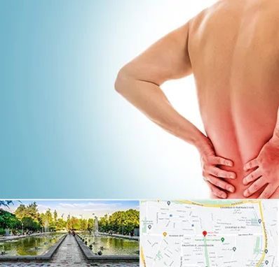 دکتر فلوشیپ دیسک کمر در سرسبز 