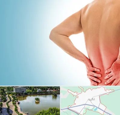 دکتر فلوشیپ دیسک کمر در لنگرود