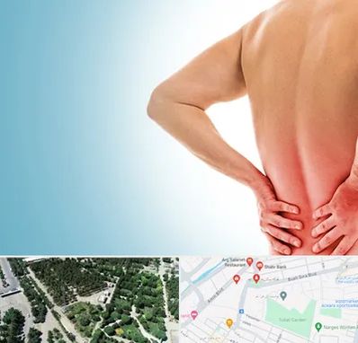 دکتر فلوشیپ دیسک کمر در سالاریه قم