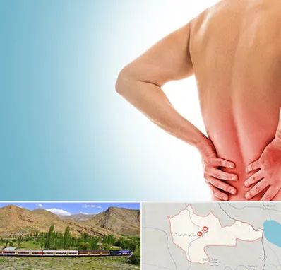 دکتر فلوشیپ دیسک کمر در خاش