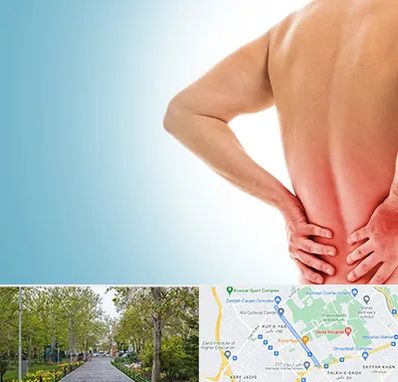 دکتر فلوشیپ دیسک کمر در قدوسی غربی شیراز 