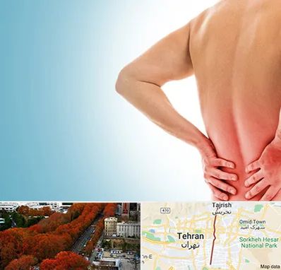 دکتر فلوشیپ دیسک کمر در ولیعصر 