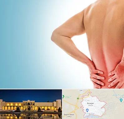 دکتر فلوشیپ دیسک کمر در برازجان