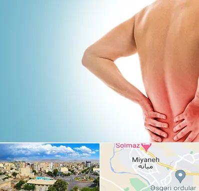 دکتر فلوشیپ دیسک کمر در میانه