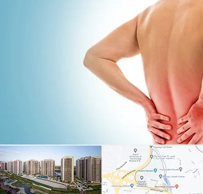 دکتر فلوشیپ دیسک کمر در المپیک 