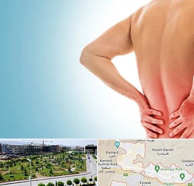 دکتر فلوشیپ دیسک کمر در پردیس