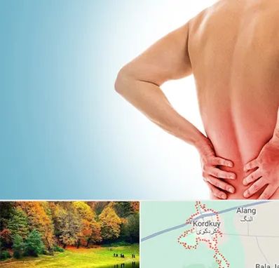 دکتر فلوشیپ دیسک کمر در کردکوی