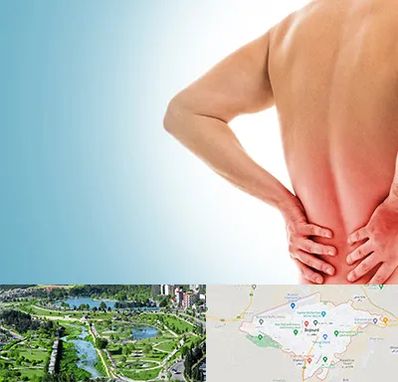 دکتر فلوشیپ دیسک کمر در بجنورد