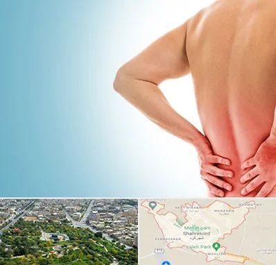 دکتر فلوشیپ دیسک کمر در شهرکرد