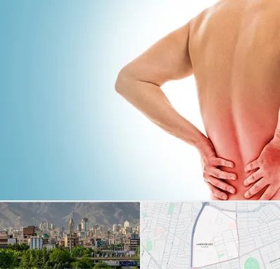 دکتر فلوشیپ دیسک کمر در جمشیدیه