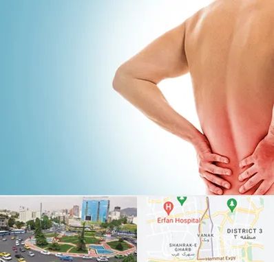 دکتر فلوشیپ دیسک کمر در ونک 