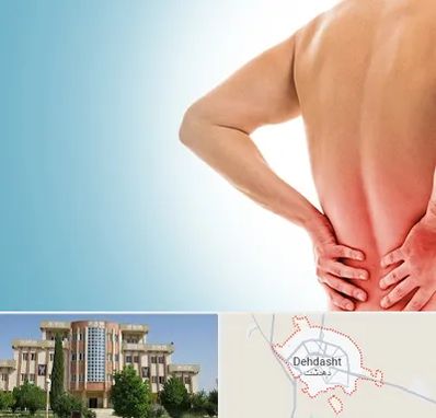 دکتر فلوشیپ دیسک کمر در دهدشت