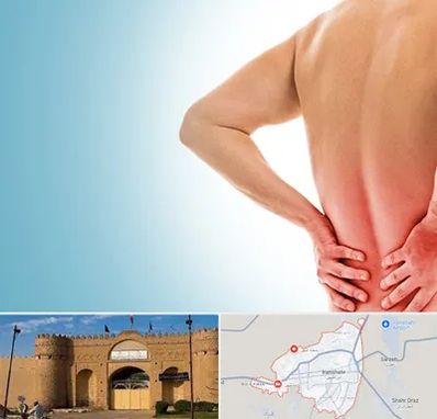 دکتر فلوشیپ دیسک کمر در ایرانشهر