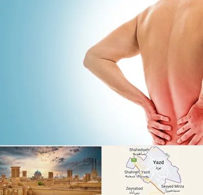 دکتر فلوشیپ دیسک کمر در یزد