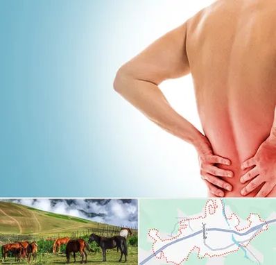 دکتر فلوشیپ دیسک کمر در تالش