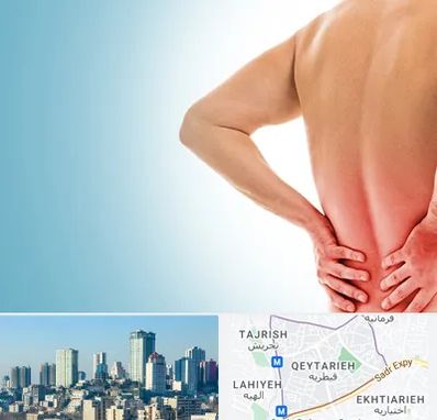 دکتر فلوشیپ دیسک کمر در قیطریه 