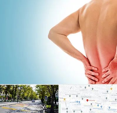 دکتر فلوشیپ دیسک کمر در میرداماد 