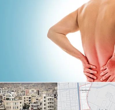 دکتر فلوشیپ دیسک کمر در اسکندری