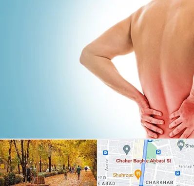 دکتر فلوشیپ دیسک کمر در چهارباغ اصفهان 