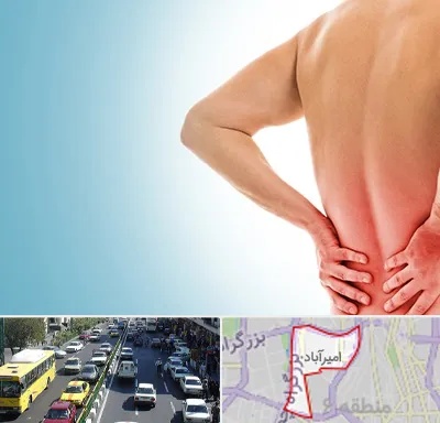 دکتر فلوشیپ دیسک کمر در امیرآباد