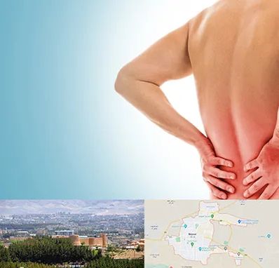 دکتر فلوشیپ دیسک کمر در بیرجند