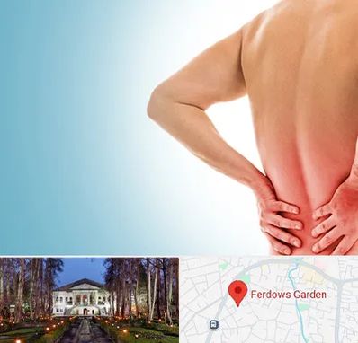 دکتر فلوشیپ دیسک کمر در باغ فردوس