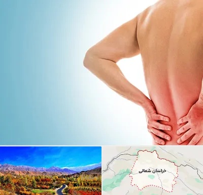 دکتر فلوشیپ دیسک کمر در خراسان شمالی