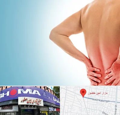 دکتر فلوشیپ دیسک کمر در امین حضور