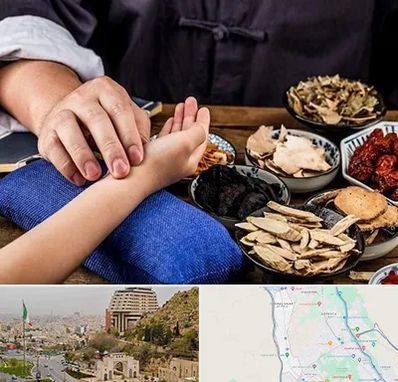 دکتر گیاهی در فرهنگ شهر شیراز 