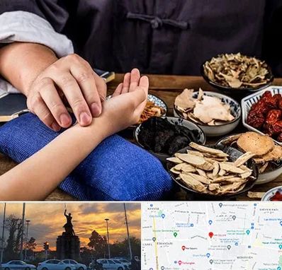 دکتر گیاهی در میدان حر 