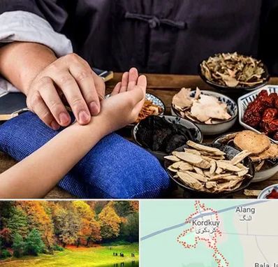 دکتر گیاهی در کردکوی