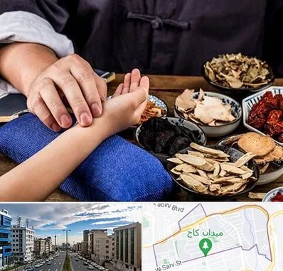 دکتر گیاهی در سعادت آباد 