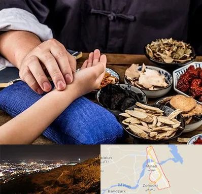 دکتر گیاهی در میناب