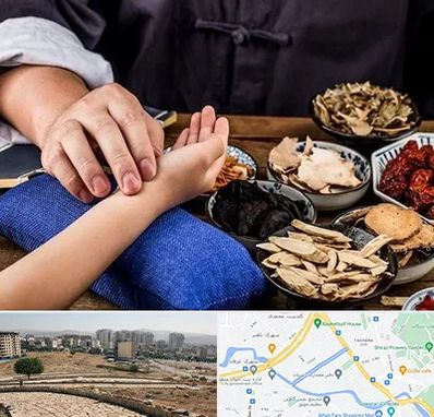 دکتر گیاهی در کوی وحدت شیراز 