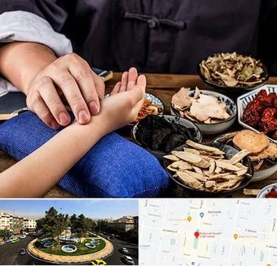 دکتر گیاهی در هفت حوض 