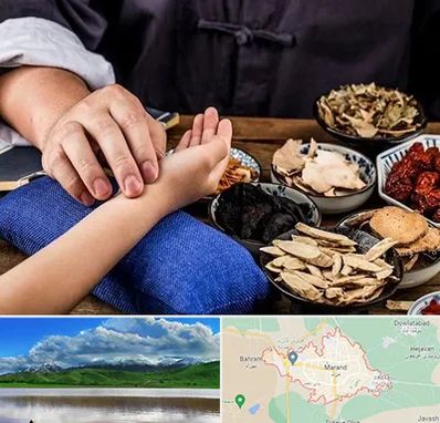 دکتر گیاهی در مرند