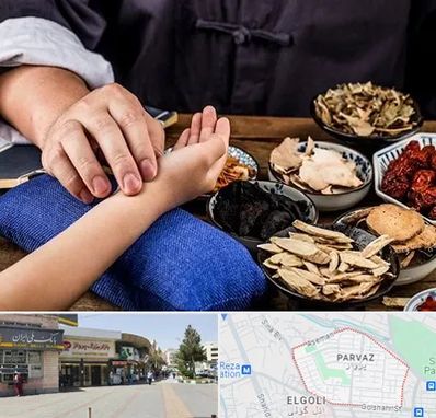 دکتر گیاهی در پرواز تبریز