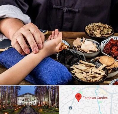 دکتر گیاهی در باغ فردوس